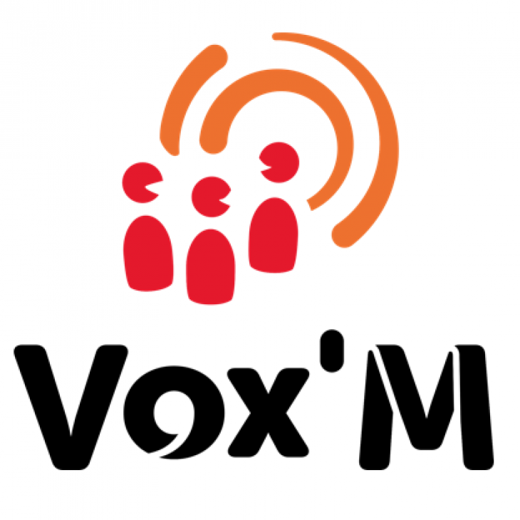 VoxM